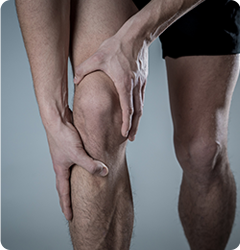 Knee - Educational Picture