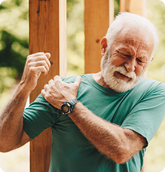 Shoulder - Educational Picture